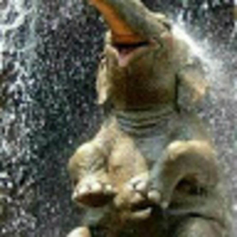 Meet your Posher, Annie